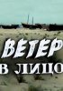 Ветер в лицо
