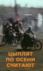 Цыплят по осени считают