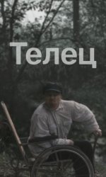 Телец