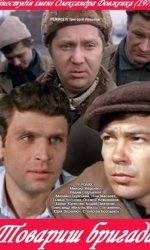 Товарищ бригада