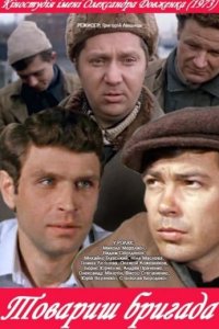 Товарищ бригада