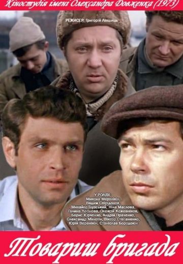Товарищ бригада